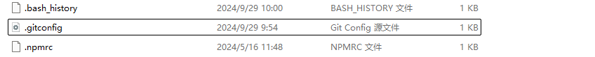 error: did you mean `--global` (with two dashes)?